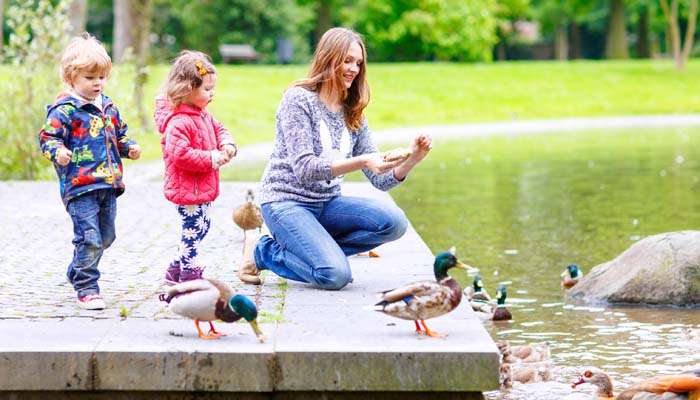 Smart Money Club: Cheap Things to Do in the GTA This Summer
