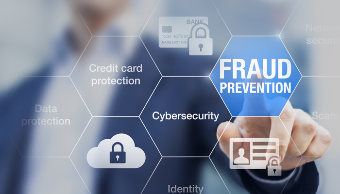 Identifying Fraud Blog Series: Fake Websites